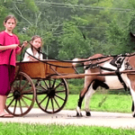 Dixie the Cart Goat: At Work & Play